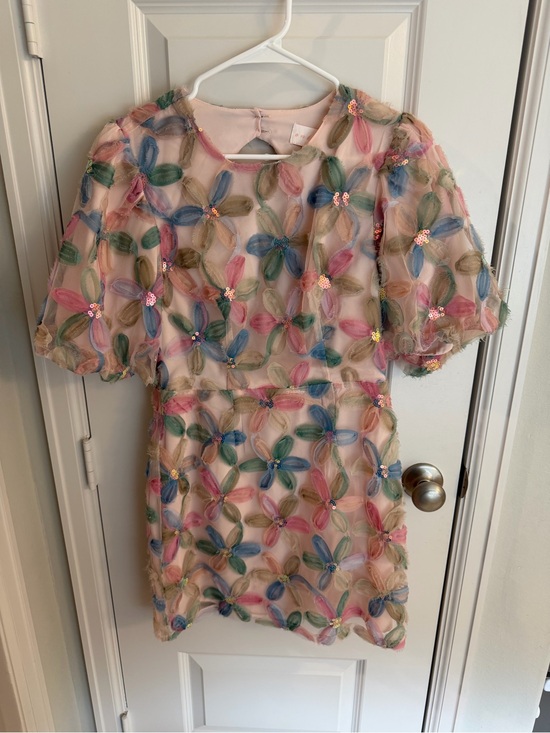 Impressions Dresses & Skirts - Impressions Pink Sheer Floral Appliqué Dress with Multicolor Petals
